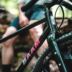 BAAM ARGH Gravelbike